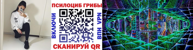 продажа наркотиков  Белокуриха  мега ССЫЛКА  Псилоцибиновые грибы мухоморы 